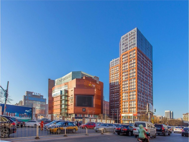 鲤城浮桥金钱树零售